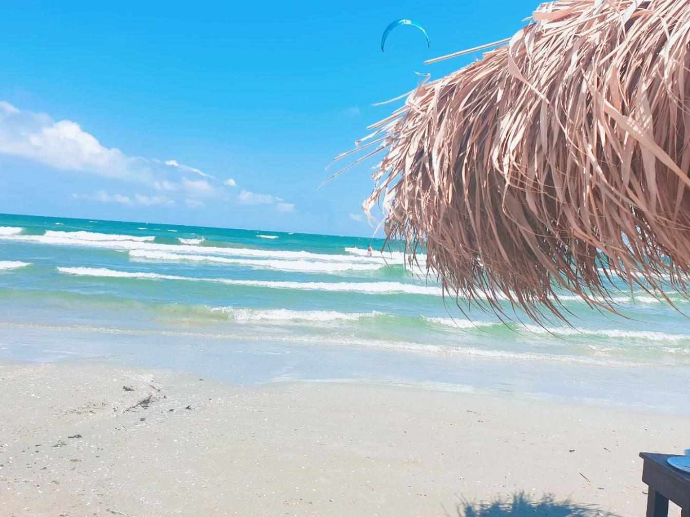 Vila Cozia Ξενοδοχείο Eforie Nord Εξωτερικό φωτογραφία